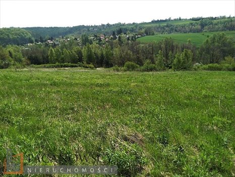 Działka budowlana na sprzedaż Wierzchowie 1 750m2 Foto 1