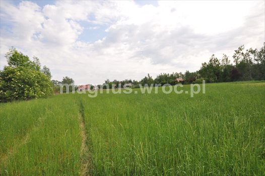Działka komercyjna na sprzedaż Zębice 2 846m2 Foto 1