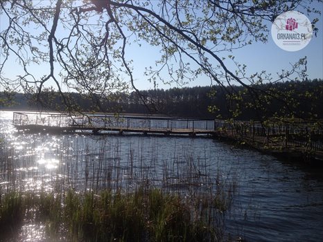 Działka rekreacyjna na sprzedaż Ząbie, Ząbie 2 981m2 Foto 11