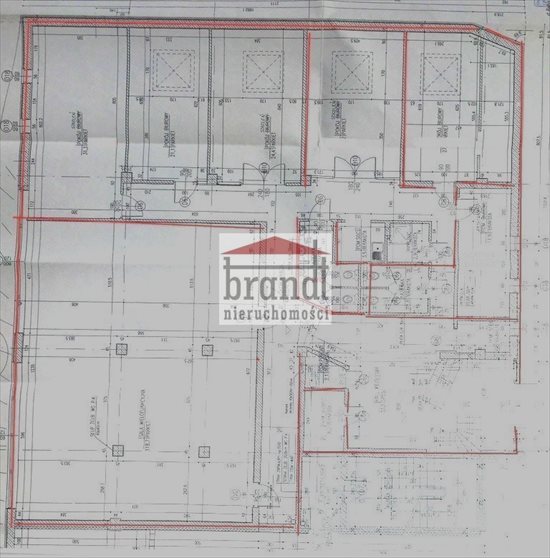 Lokal użytkowy na wynajem Pruszków 380m2 Foto 3