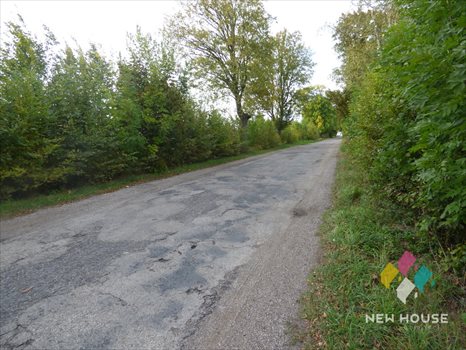 Działka budowlana na sprzedaż Wipsowo 12 500m2 Foto 13