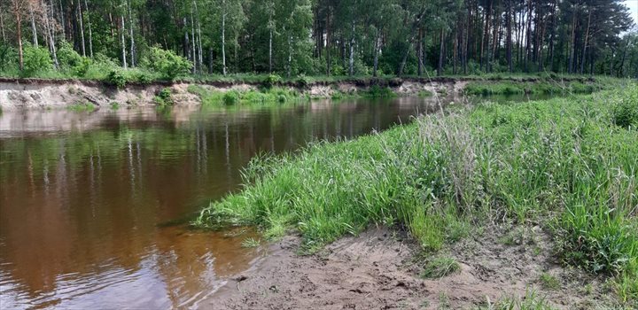 Działka budowlana na sprzedaż Starowola 2 082m2 Foto 11