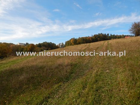 Działka inna na sprzedaż Limanowa 2 000m2 Foto 5