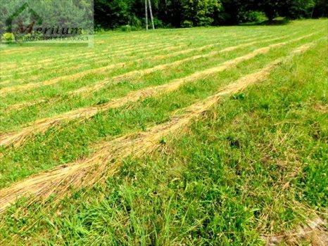 Działka budowlana na sprzedaż Nowy Sącz 1 279m2 Foto 4