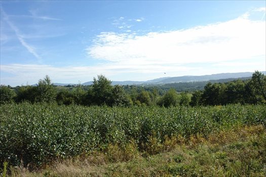 Działka budowlana na sprzedaż Włosań 1 200m2 Foto 2