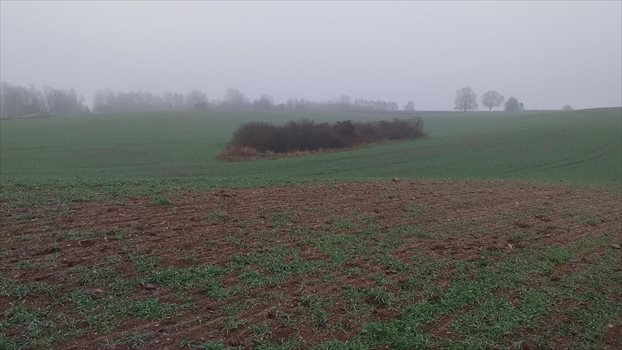 Działka gospodarstwo rolne na sprzedaż Ełk 7 000 000m2 Foto 3