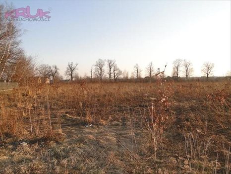 Działka inwestycyjna na sprzedaż Wrocław, Psie-Pole, Pełczyńska 3 000m2 Foto 6