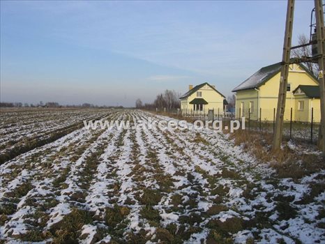 Działka budowlana na sprzedaż Przypki 25 277m2 Foto 9