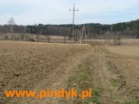 Działka budowlana na sprzedaż polska, Łomnica, Łomnica 3 118m2 Foto 3