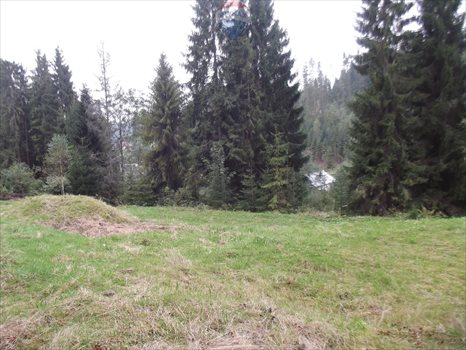 Działka budowlana na sprzedaż Nowy Targ 1 000m2 Foto 5