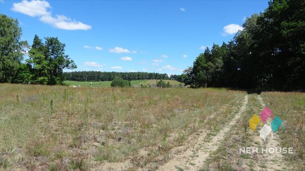 Działka rolna na sprzedaż Maruny 3 000m2 Foto 8
