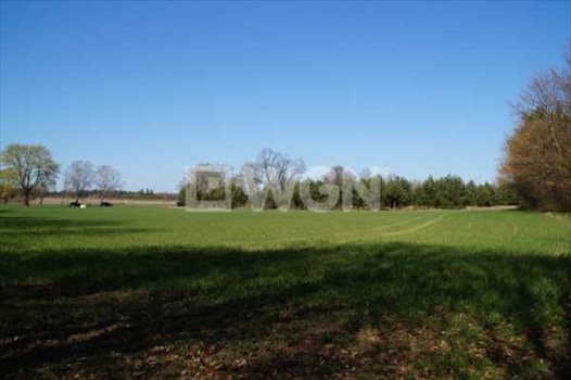 Działka budowlana na sprzedaż Machowino, Słupsk, Machowino 7 500m2 Foto 6