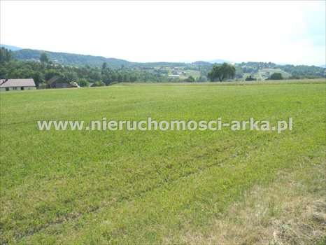 Działka rolna na sprzedaż Stare Rybie 10 800m2 Foto 1