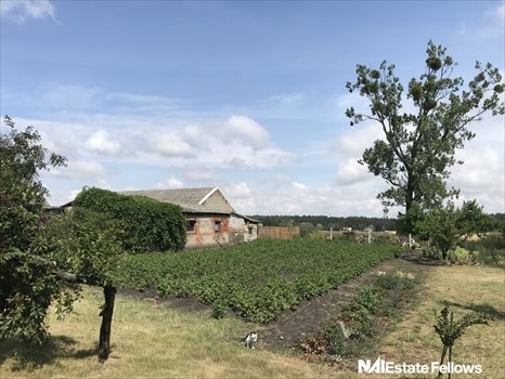 Działka rolna na sprzedaż Lipnica 12 471m2 Foto 2