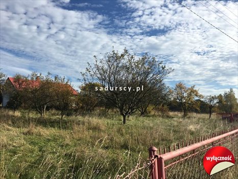 Działka budowlana na sprzedaż Dobranowice 4 500m2 Foto 8