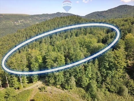 Działka inwestycyjna na sprzedaż Międzybrodzie Żywieckie 5 596m2 Foto 2