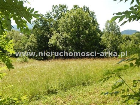 Działka budowlana na sprzedaż Skrzydlna 2 600m2 Foto 4