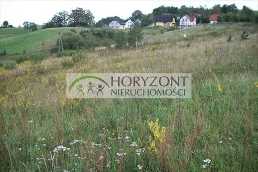 Działka budowlana na sprzedaż Łapalice 1 500m2 Foto 2