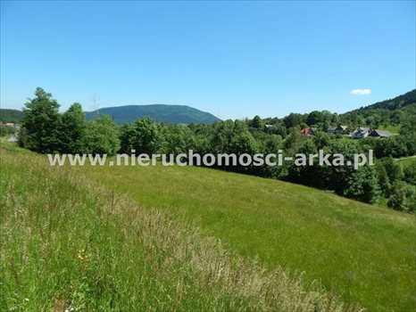 Działka budowlana na sprzedaż Dobra 3 600m2 Foto 4