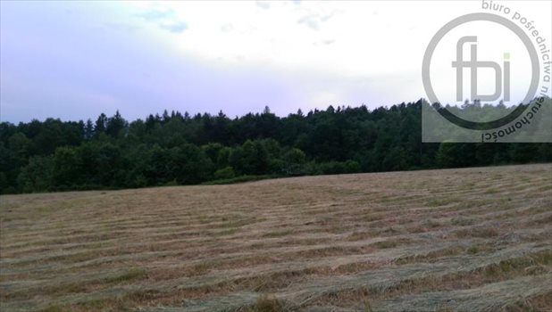 Działka rekreacyjna na sprzedaż Kalwaria Zebrzydowska 11 284m2 Foto 2