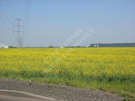 Działka inna na sprzedaż Gliwice, Brzezinka 10 000m2 Foto 3