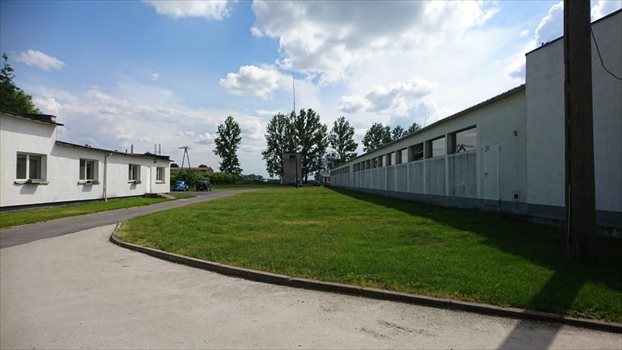Działka komercyjna na sprzedaż Borek Strzeliński 67 600m2 Foto 3