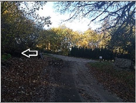 Działka budowlana na sprzedaż Dębnica Kaszubska 2 258m2 Foto 3