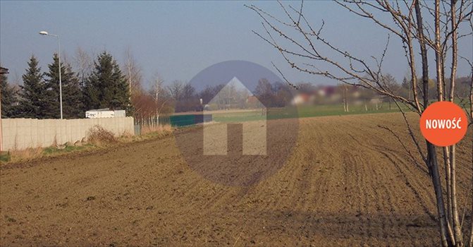 Działka budowlana na sprzedaż Pieszyce, Piskorzów 2 000m2 Foto 2