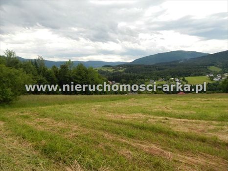 Działka budowlana na sprzedaż Dobra 3 100m2 Foto 3