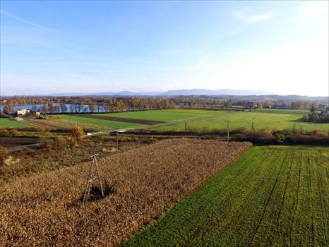 Działka budowlana na sprzedaż Dankowice, Spokojna 3 787m2 Foto 9