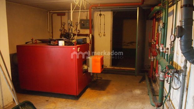 Lokal użytkowy na sprzedaż Buk 1 500m2 Foto 13