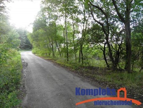 Działka budowlana na sprzedaż Szczecin, Kijewko 3 200m2 Foto 3