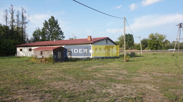 Lokal użytkowy na sprzedaż Kazuń Nowy 401m2 Foto 11