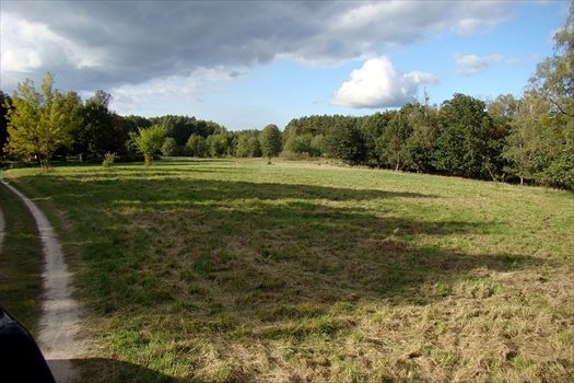 Działka inna na sprzedaż Sierakowo 6 546m2 Foto 1