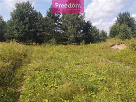 Działka budowlana na sprzedaż Orzechowo 25 000m2 Foto 9