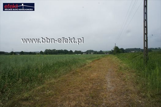 Działka budowlana na sprzedaż Międzyrzecze Dolne 4 959m2 Foto 5