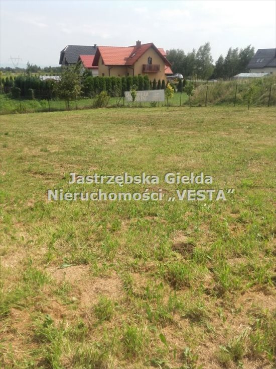 Działka inna na sprzedaż Jastrzębie-Zdrój, Ruptawa 807m2 Foto 3