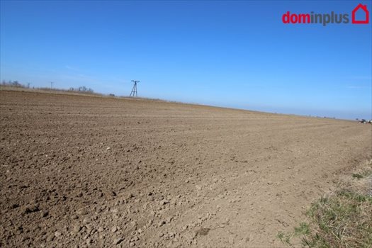 Działka inna na sprzedaż Lulkowo, Łysomice 3 000m2 Foto 2