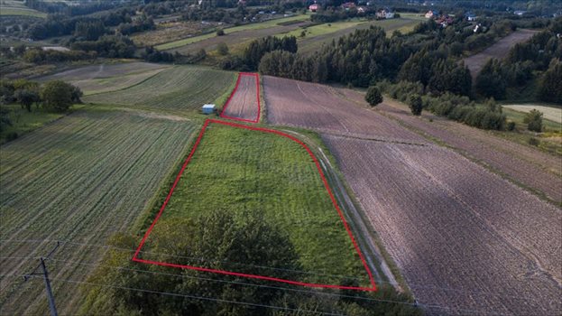 Działka budowlana na sprzedaż Owczary, zbożowa 4 800m2 Foto 4