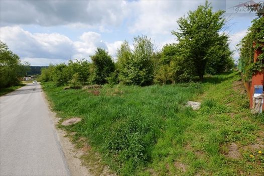 Działka budowlana na sprzedaż Ostrów 3 800m2 Foto 6