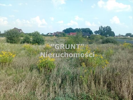 Działka inna na sprzedaż Ługi Ujskie 1 060m2 Foto 2