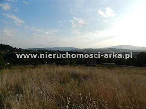 Działka budowlana na sprzedaż Limanowa 2 686m2 Foto 4