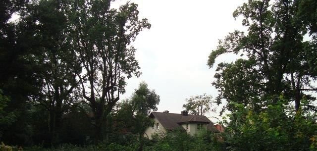 Działka budowlana na sprzedaż Warszawa, Wawer, Kościuszkowców 3 450m2 Foto 7