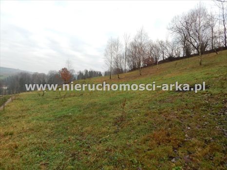 Działka budowlana na sprzedaż Mszana Dolna 1 500m2 Foto 1