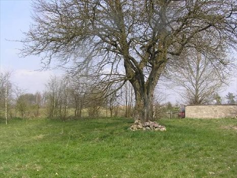 Działka inna na sprzedaż Rąb, RĄB, RĄB 51 4 900m2 Foto 3