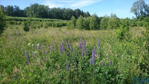 Działka budowlana na sprzedaż Przybyłowo 3 089m2 Foto 2