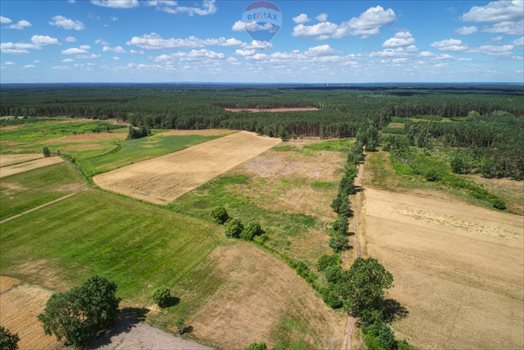 Działka rolna na sprzedaż Hetmanów 414 600m2 Foto 11