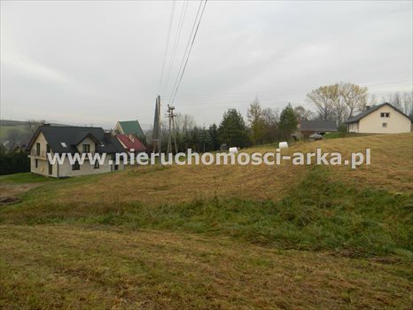 Działka inna na sprzedaż Jodłownik 6 000m2 Foto 5