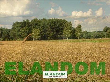 Działka budowlana na sprzedaż Kamieńczyk 1 080m2 Foto 4