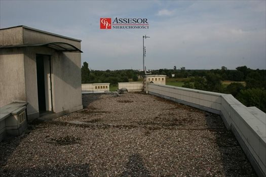 Dom na sprzedaż Kalisz, Zawodzie, Częstochowska 561m2 Foto 12